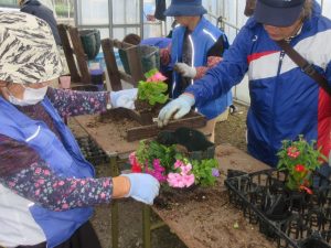 2025年5月25日　寄せ植え6